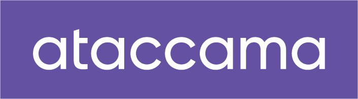 Ataccama - Staying ahead by getting more value from your data assets
